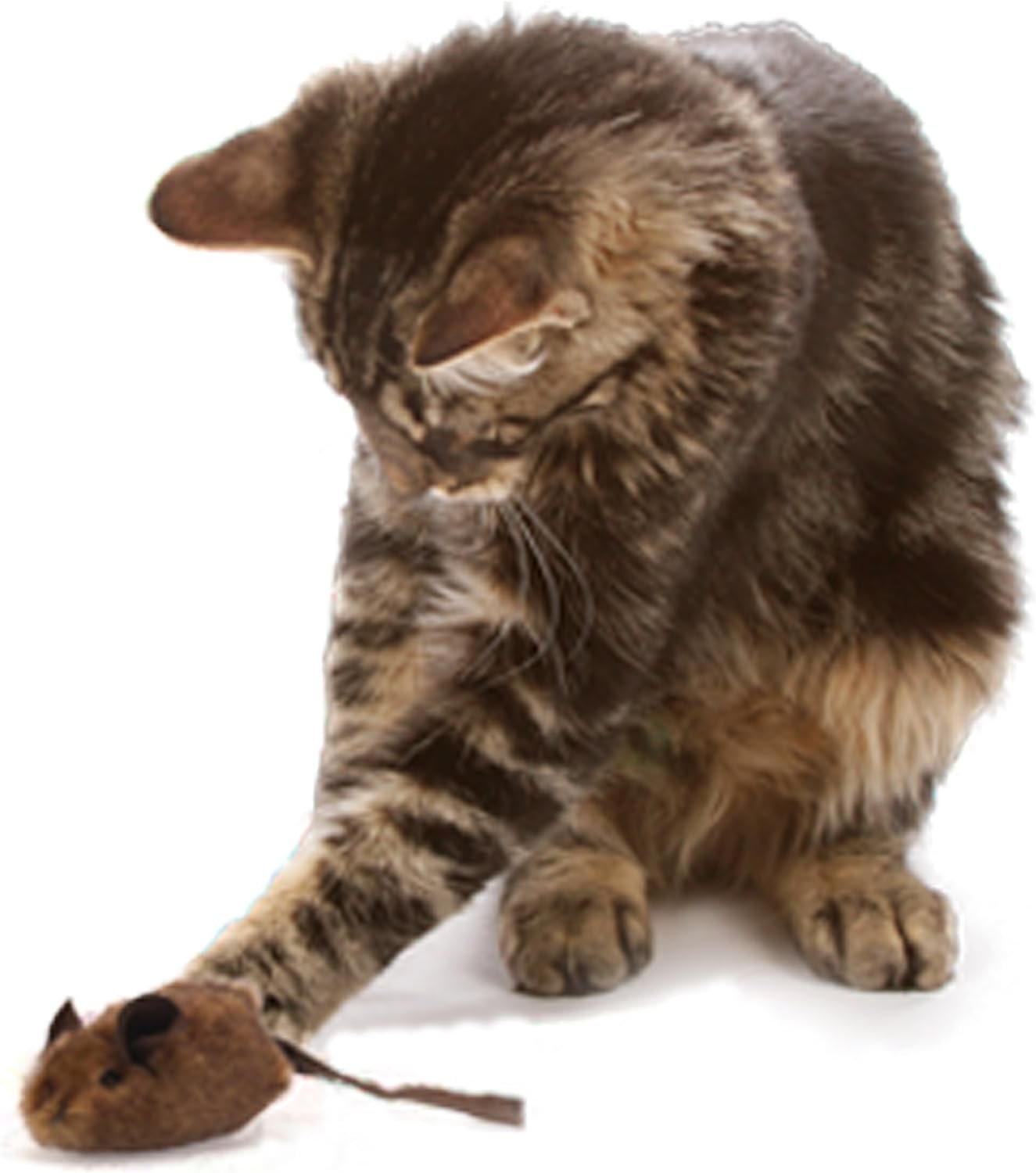 71wOr5okU6L._AC_SL1500_.jpg 71wOr5okU6L._AC_SL1500_.jpg