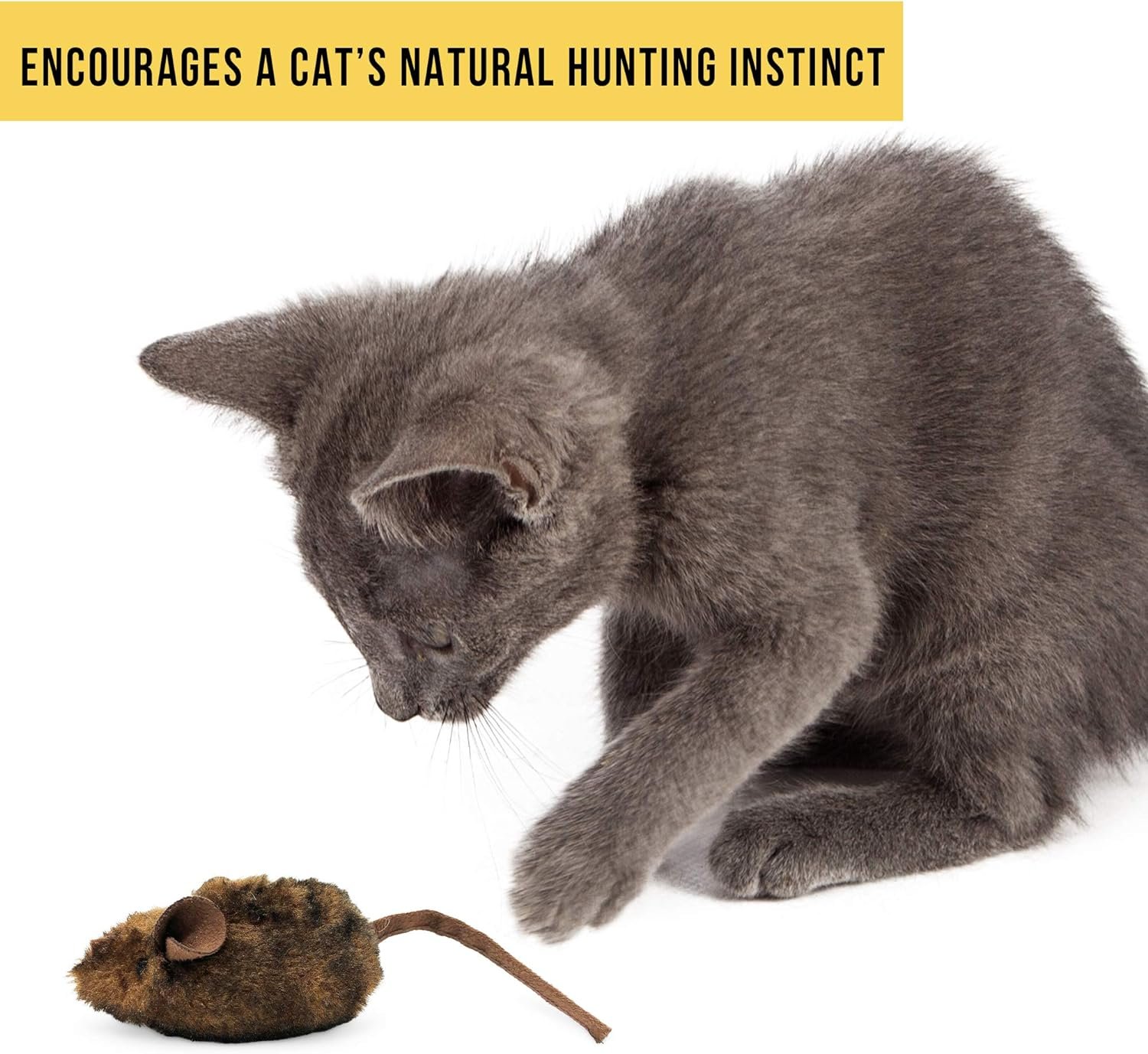 81SRBDRdKFL._AC_SL1500_.jpg 81SRBDRdKFL._AC_SL1500_.jpg